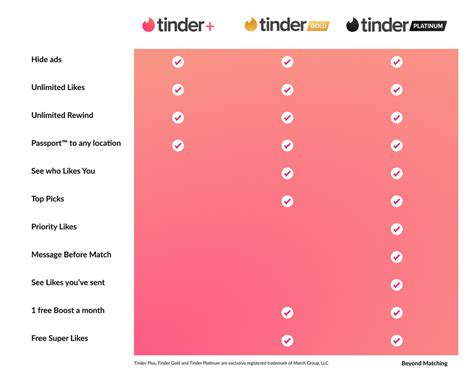 tinder privemodus|Subscription Tiers